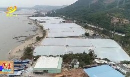 阳江今日爆料新闻最新消息,重大事件引发社会关注