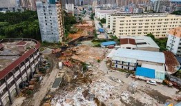 博白最新爆料,揭秘背后惊人真相