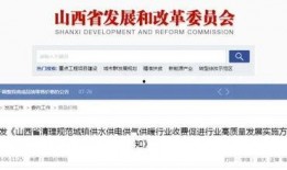 水电最新爆料信息查询,揭秘行业变革与未来发展趋势